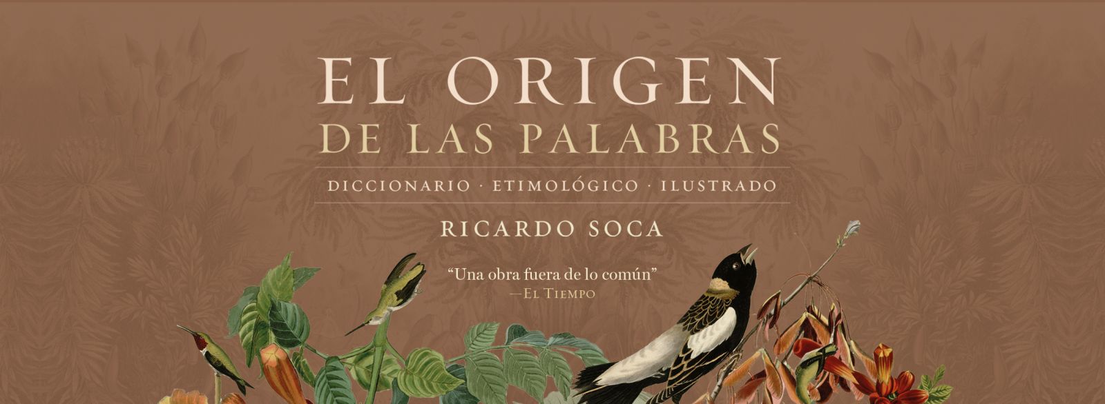 Banner El Origen de las Palabras