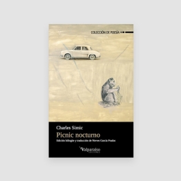 Portada Libro Picnic nocturno