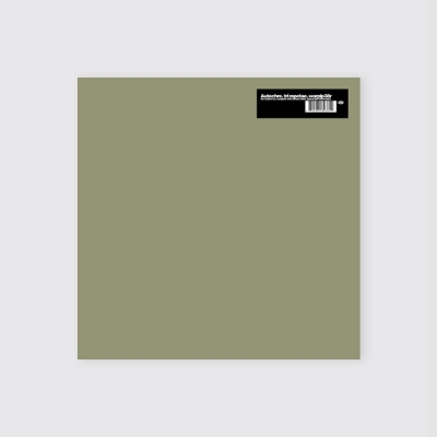 Portada Vinilo Tri Repetae