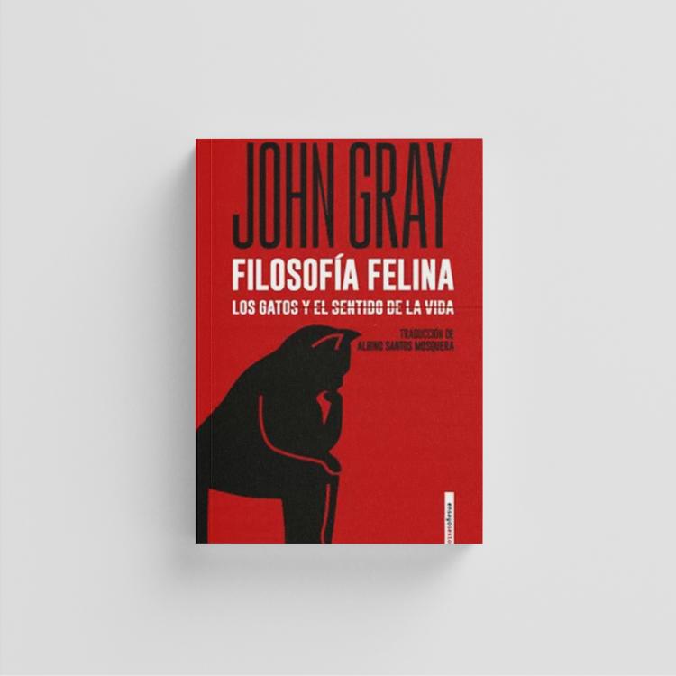 Filosofía felina