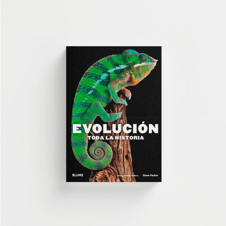 Evolución portada.