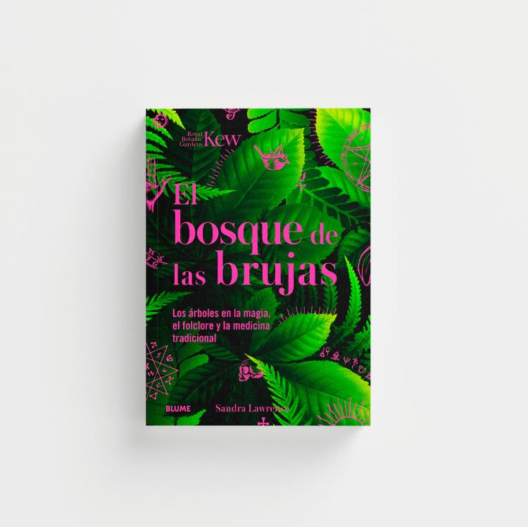 El bosque de las brujas